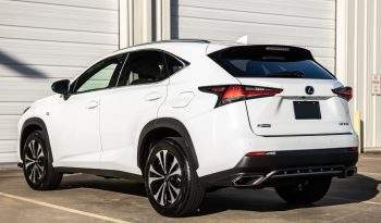 2020 Lexus NX 300 F SPORT full