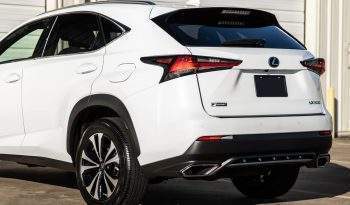 2020 Lexus NX 300 F SPORT full